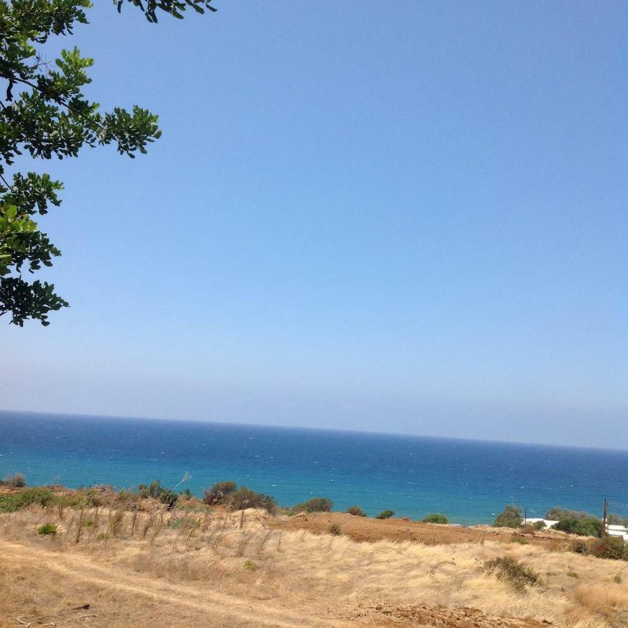 Pomos Idol Exceptional Beach Villa Exterior photo