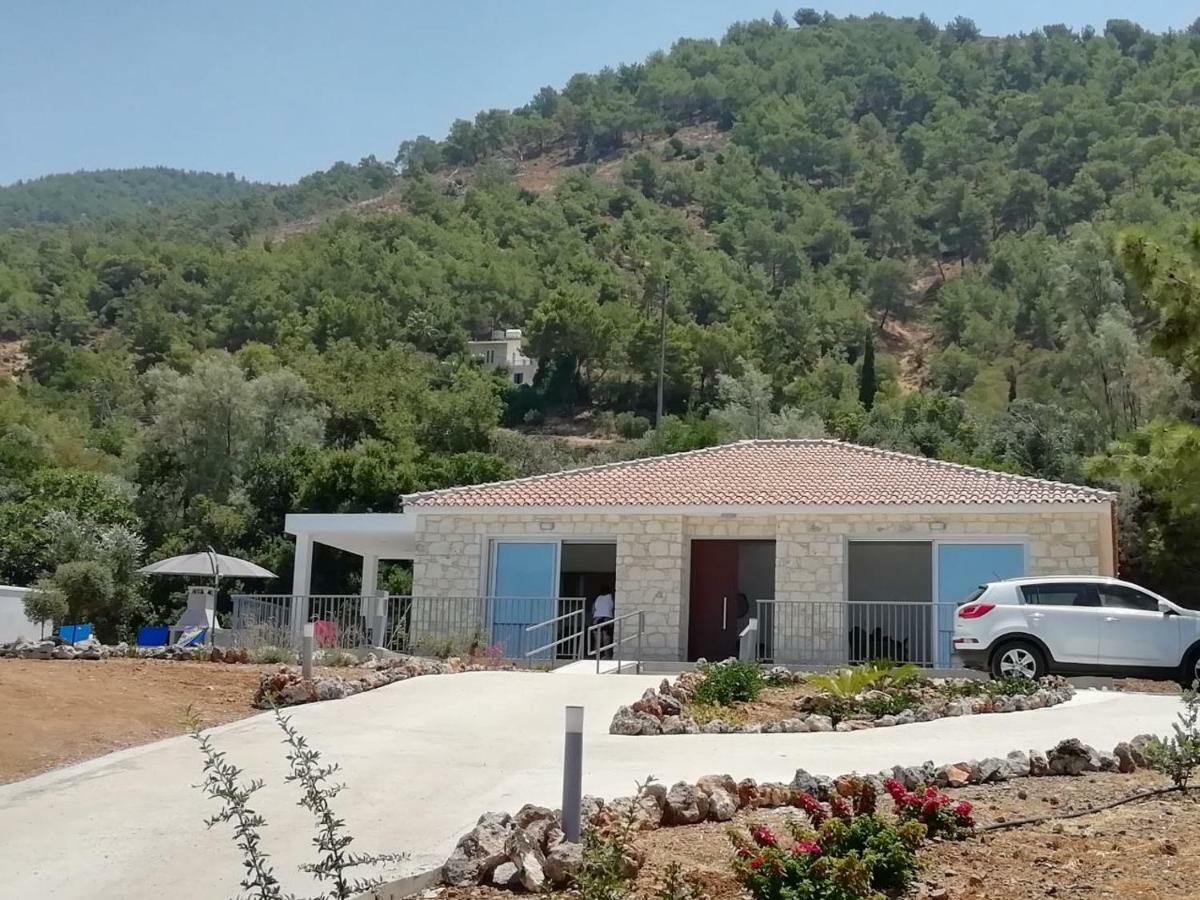 Pomos Idol Exceptional Beach Villa Exterior photo