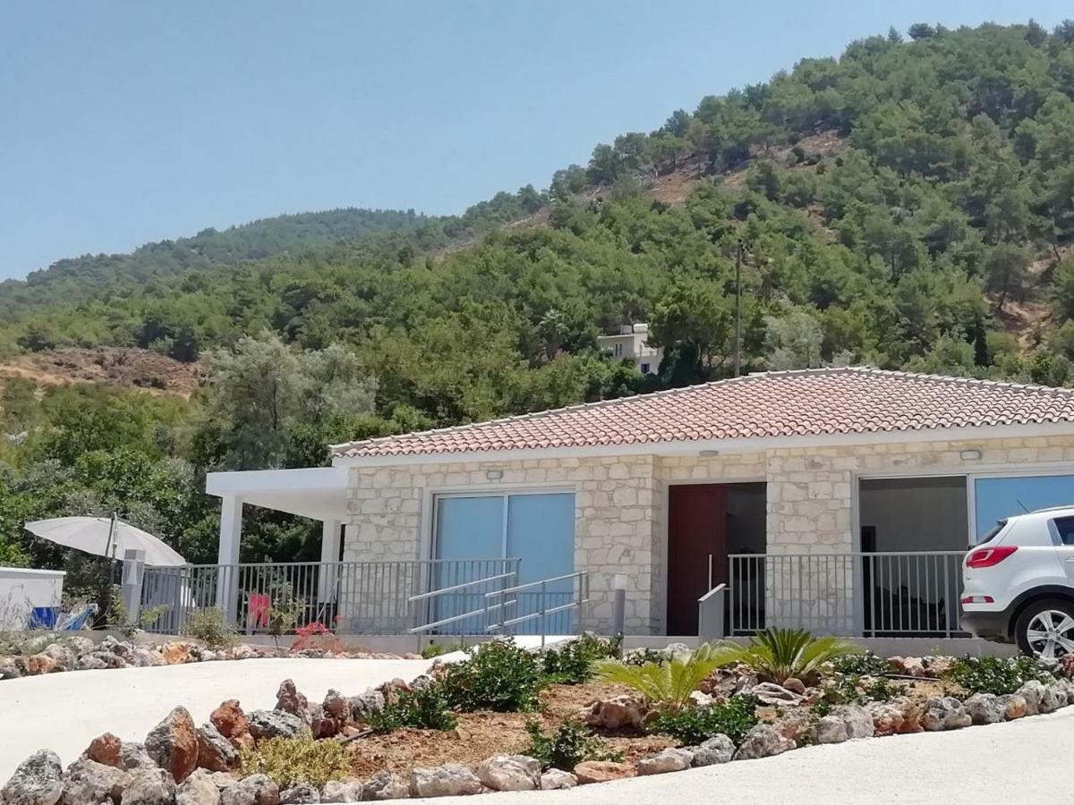 Pomos Idol Exceptional Beach Villa Exterior photo